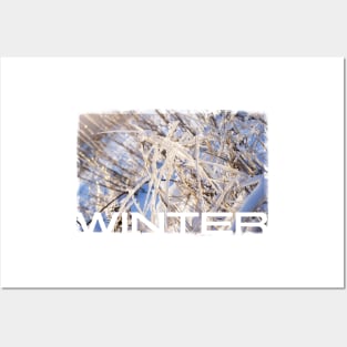 Winter Grass Posters and Art